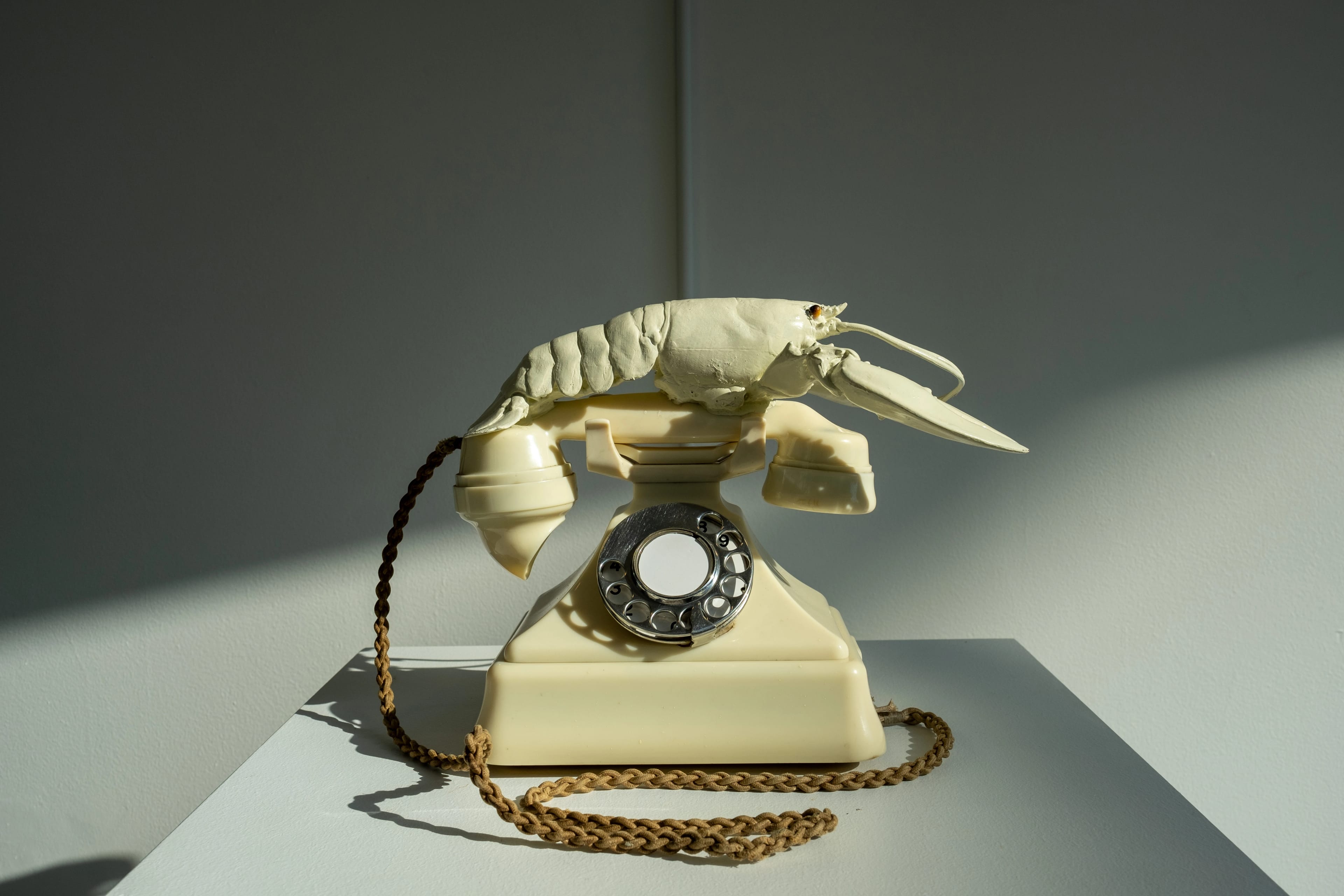 An old beige rotary telephone with a lobster perched on top, casting shadows on a white surface.